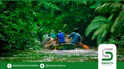 El Parque Yasuní es uno de los lugares más biodiversos del planeta