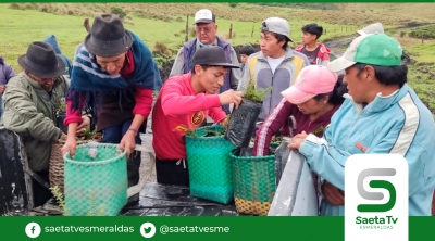 Entrega de plantas de mortiño a agricultores del páramo de Cotacachi