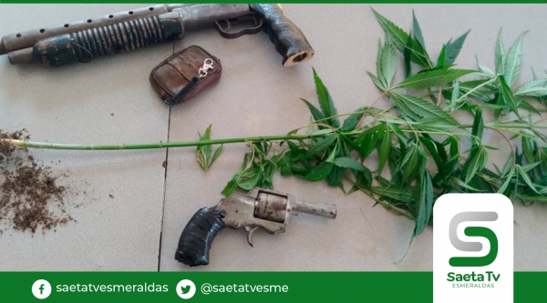 Detienen a individuo que tenia cultivo de plantas de marihuana en Voluntad de Dios