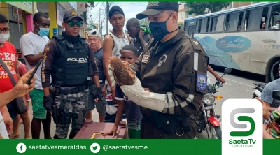 Policía ambiental rescató un tayo enredado en cables de líneas telefónicas