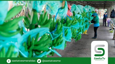 Futuro de industrias ecuatorianas está anclado a emergencia climática