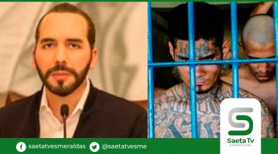 Bukele a pandillas: &quot;paren de matar  o reos la pagarán&quot;