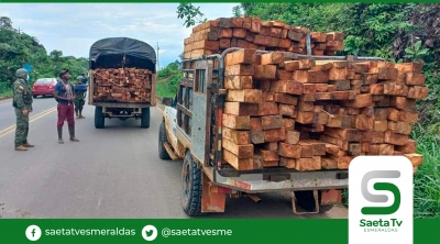 Fuerzas Armadas requisan 2 camiones de balsa sin permiso alguno