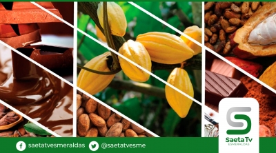 El chocolate tiene una larga historia en Ecuador