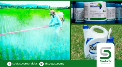 Productos para la agricultura suben de precios ante ningún control oficial