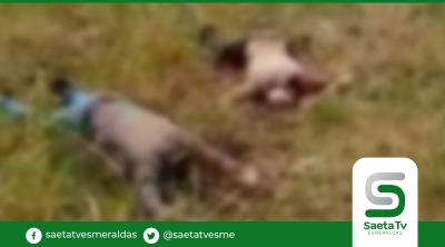 Dos ciudadanos fueron asesinados en sector de Cabuyal