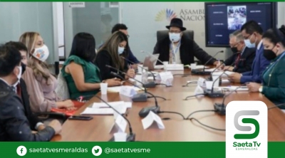 Comisión de Educación revisa situación de artistas y compositores nacionales